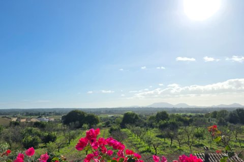 Villa för uthyrning i Santa Eugenia, Mallorca, Spanien 3 sovrum, 175 kvm. Nr. 144325 - foto 15