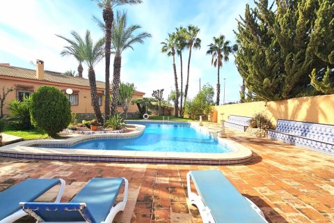 Villa à vendre Torrevieja, Alicante, Espagne, 5 chambres, 558 m2 No. 115447 - photo 29