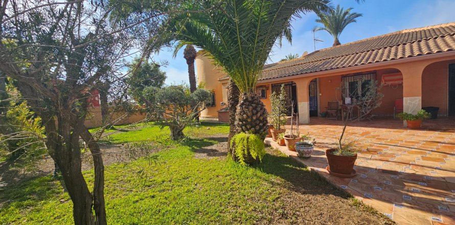 Willa Torrevieja, Alicante, Hiszpania 5 sypialni, 558 mkw. nr 115447