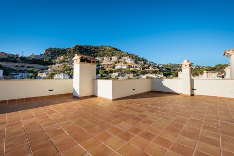 Takvåning till salu i Port D'andratx, Mallorca, Spanien 3 sovrum, 145 kvm. Nr. 149264 - foto 21