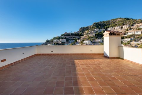 Takvåning till salu i Port D'andratx, Mallorca, Spanien 3 sovrum, 145 kvm. Nr. 149264 - foto 11