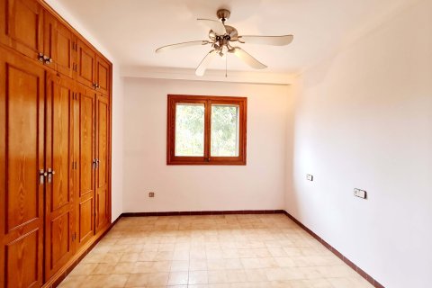 Villa à louer à Palma de Majorca, Mallorca, Espagne, 4 chambres, 220 m2 No. 177574 - photo 10