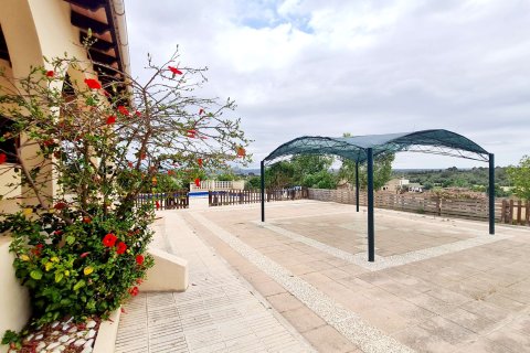 Villa à louer à Palma de Majorca, Mallorca, Espagne, 4 chambres, 220 m2 No. 177574 - photo 14