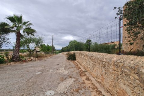Villa à louer à Palma de Majorca, Mallorca, Espagne, 4 chambres, 220 m2 No. 177574 - photo 18