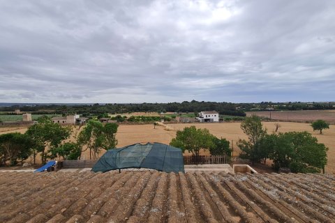 Villa à louer à Palma de Majorca, Mallorca, Espagne, 4 chambres, 220 m2 No. 177574 - photo 16
