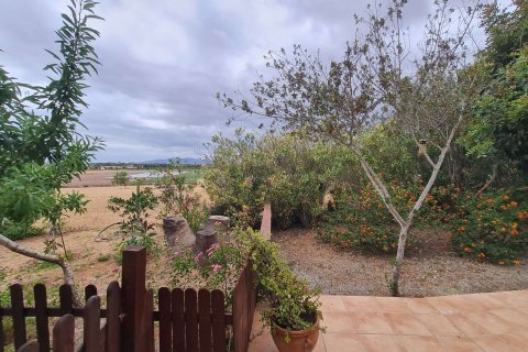 Villa à louer à Palma de Majorca, Mallorca, Espagne, 4 chambres, 220 m2 No. 177574 - photo 17