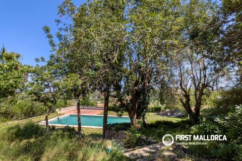 Huvila myytävänä Establiments, Mallorca, Espanja, 5 makuuhuonetta, 466 m2 No. 177576 - kuva 17