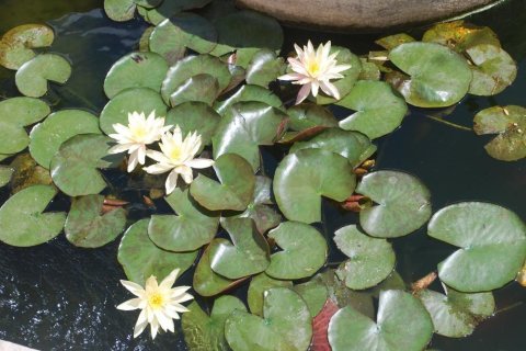 Villa à vendre à Maryvilla, Alicante, Espagne, 3 chambres, 191 m2 No. 144514 - photo 30