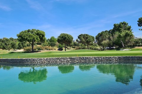 Duplex for sale in Madrid, Spain 4 bedrooms, 250 sq.m. No. 143126 - photo 22