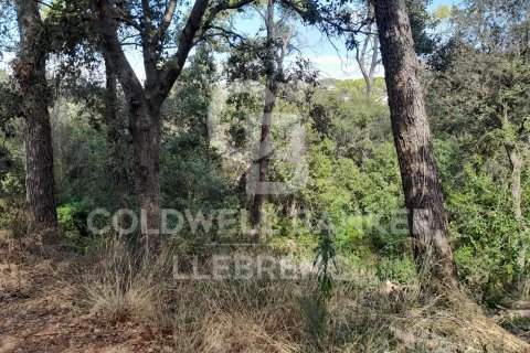 Tontti myytävänä Barcelona, Espanja , 1041 m2 No. 186206 - kuva 2