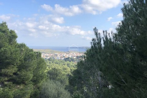 Land plot for sale Es Mercadal, Menorca, Spain No. 65457 - photo 2
