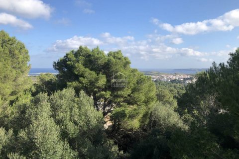 Land plot for sale Es Mercadal, Menorca, Spain No. 65457 - photo 5