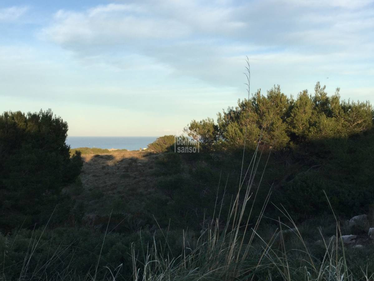 Terreno a Es Mercadal, Menorca, Spagna N° 65455