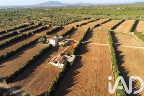 Parcela en venta en Camarles, Tarragona, España 218591 m2 No. 173206 - foto 4