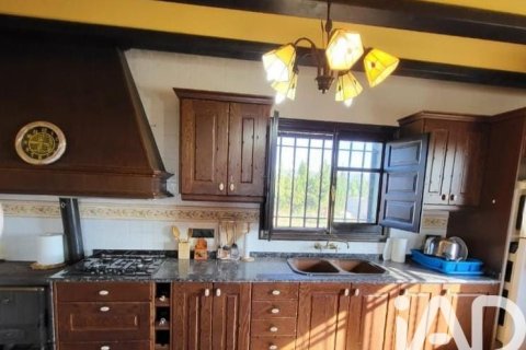 Parcela en venta en Camarles, Tarragona, España 218591 m2 No. 173206 - foto 15