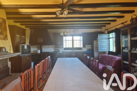 Parcela en venta en Camarles, Tarragona, España 218591 m2 No. 173206 - foto 24