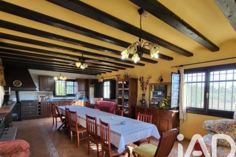 Parcela en venta en Camarles, Tarragona, España 218591 m2 No. 173206 - foto 14