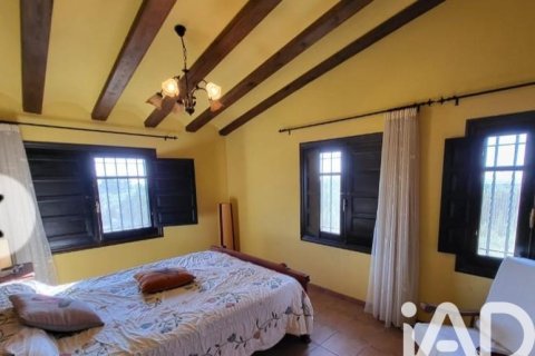 Parcela en venta en Camarles, Tarragona, España 218591 m2 No. 173206 - foto 16