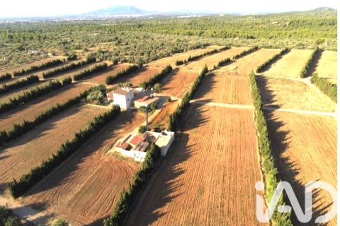 Parcela en venta en Camarles, Tarragona, España 218591 m2 No. 173206 - foto 2