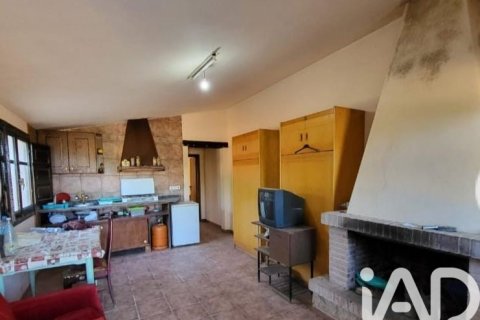 Parcela en venta en Camarles, Tarragona, España 218591 m2 No. 173206 - foto 12