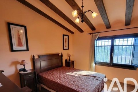 Parcela en venta en Camarles, Tarragona, España 218591 m2 No. 173206 - foto 17