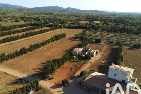Parcela en venta en Camarles, Tarragona, España 218591 m2 No. 173206 - foto 5