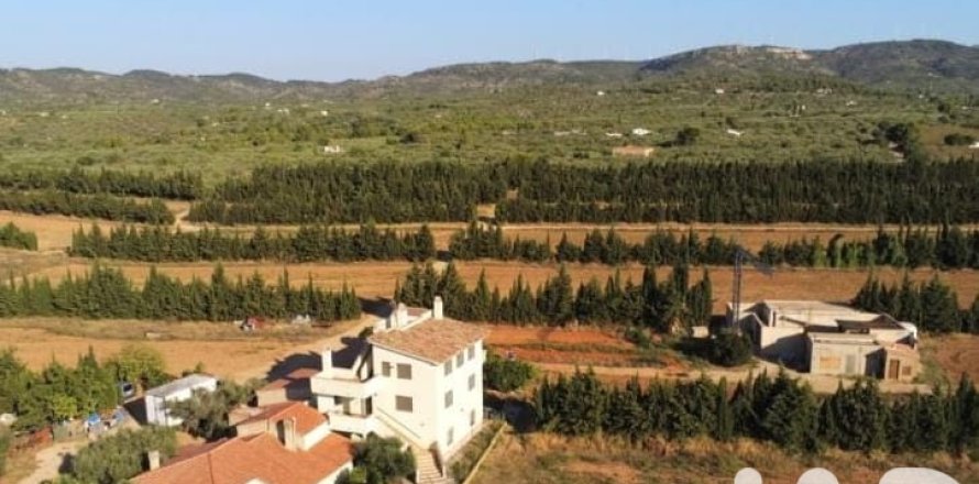 Parcela en Camarles, Tarragona, España 218591 m2 No. 173206