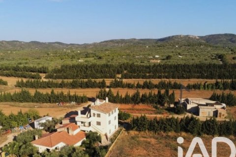 Parcela en venta en Camarles, Tarragona, España 218591 m2 No. 173206 - foto 3