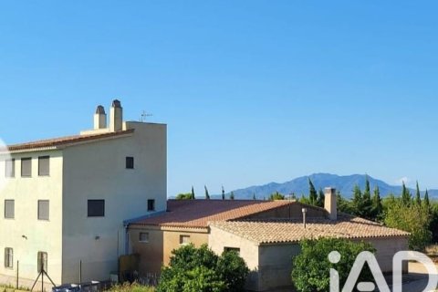Parcela en venta en Camarles, Tarragona, España 218591 m2 No. 173206 - foto 6