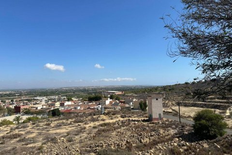 Commercial property for sale Rojales, Alicante, Spain 1200 sq.m. No. 113020 - photo 7