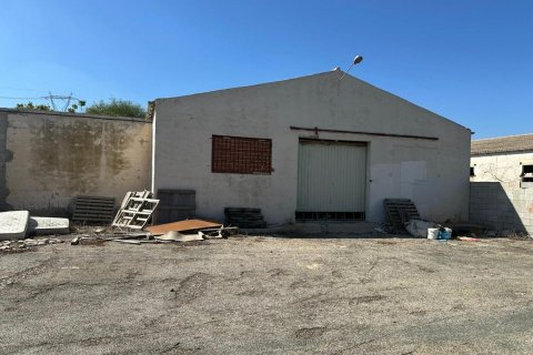 Commercial property for sale Rojales, Alicante, Spain 1200 sq.m. No. 113020 - photo 2