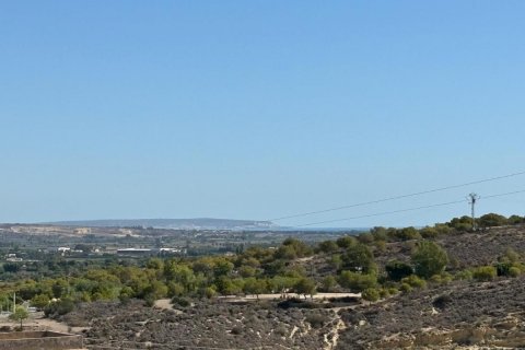 Commercial property for sale Rojales, Alicante, Spain 1200 sq.m. No. 113020 - photo 3