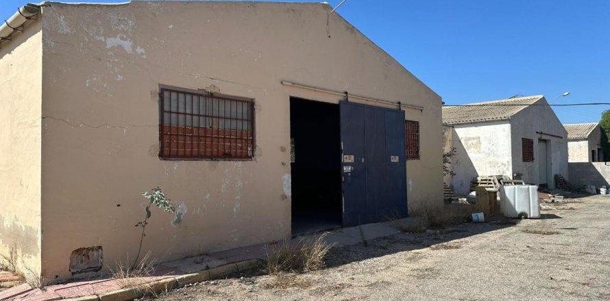 Commercial property Rojales, Alicante, Spain 1200 sq.m. No. 113020