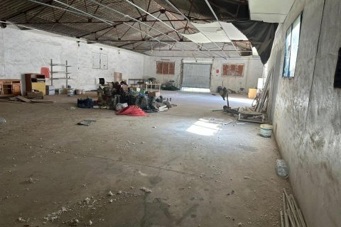 Commercial property for sale Rojales, Alicante, Spain 1200 sq.m. No. 113020 - photo 10