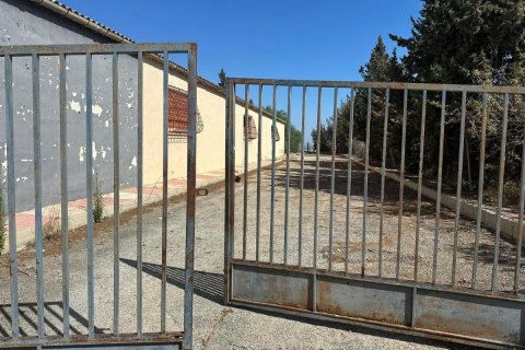 Commercial property for sale Rojales, Alicante, Spain 1200 sq.m. No. 113020 - photo 4