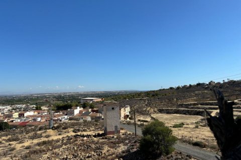 Commercial property for sale Rojales, Alicante, Spain 1200 sq.m. No. 113020 - photo 5