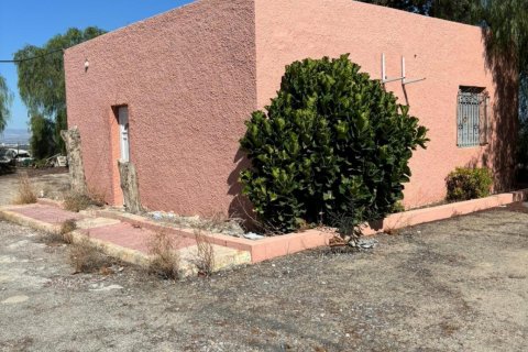 Commercial property for sale Rojales, Alicante, Spain 1200 sq.m. No. 113020 - photo 14