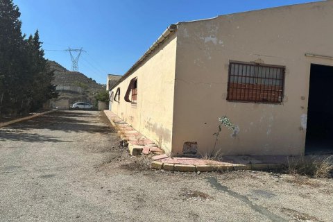 Commercial property for sale Rojales, Alicante, Spain 1200 sq.m. No. 113020 - photo 8