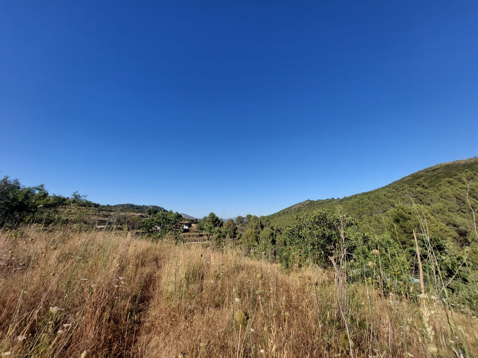 Land plot in Jalon, Alicante, Spain No. 183975