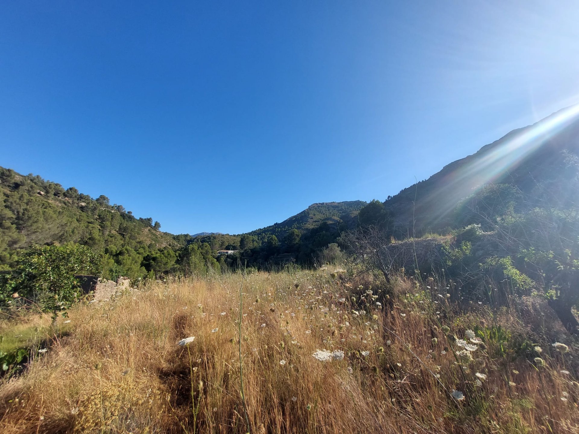 Land plot in Jalon, Alicante, Spain No. 183975