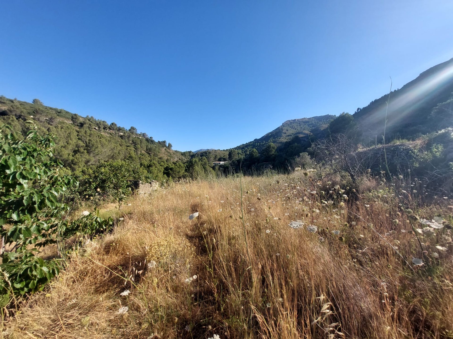 Land plot in Jalon, Alicante, Spain No. 183975