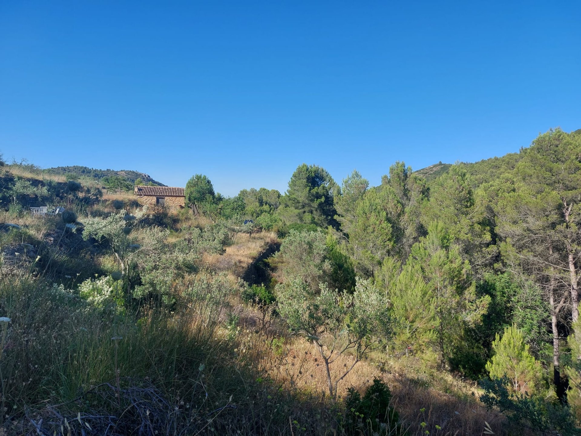 Land plot in Jalon, Alicante, Spain No. 183975