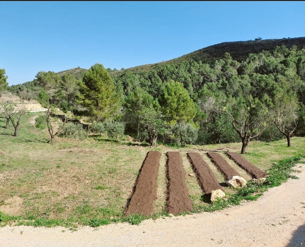 Land plot in Jalon, Alicante, Spain No. 183975