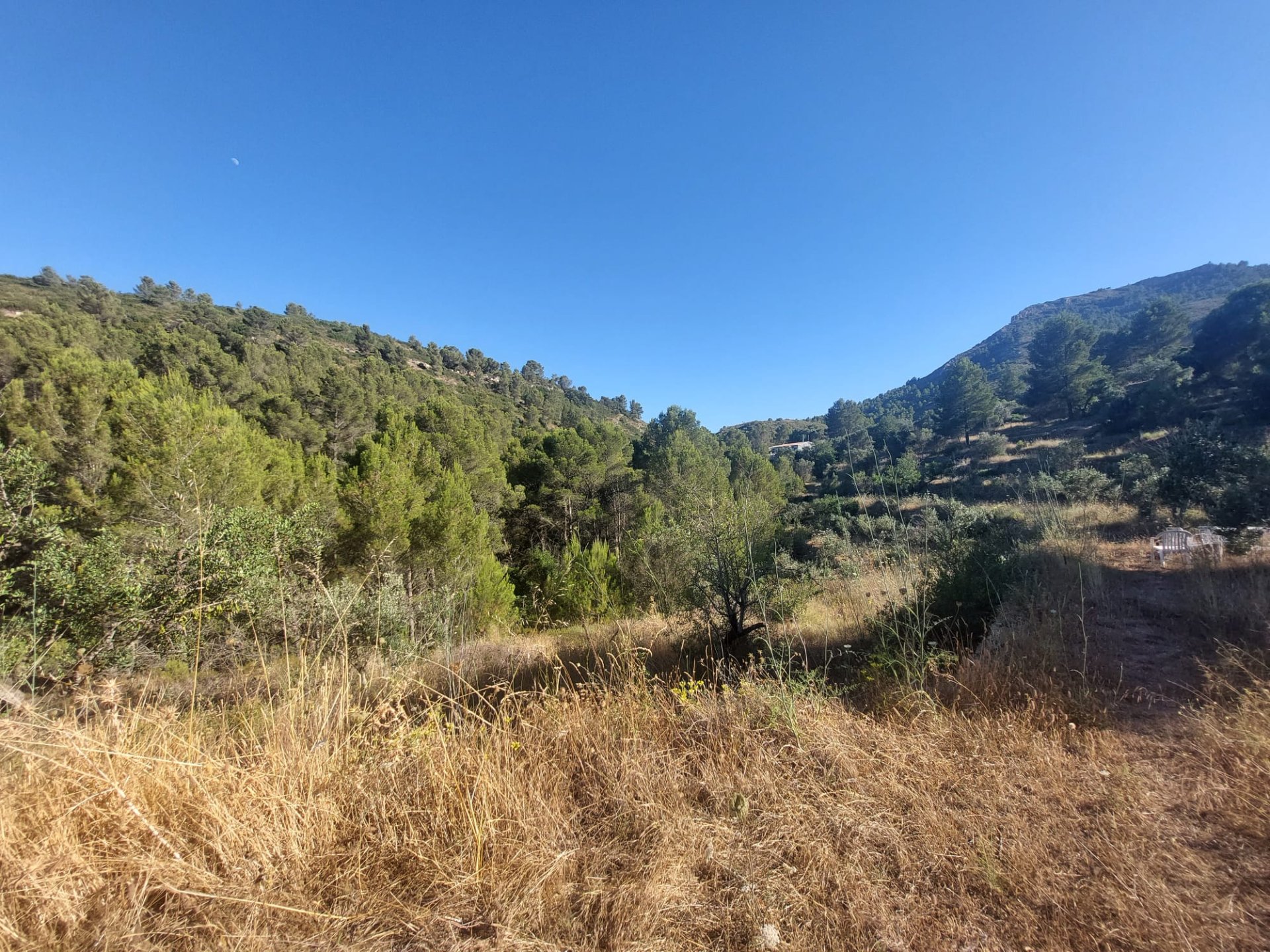 Land plot in Jalon, Alicante, Spain No. 183975
