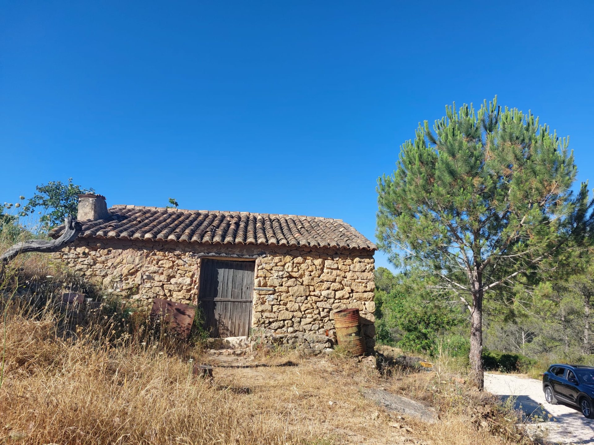 Land plot in Jalon, Alicante, Spain No. 183975
