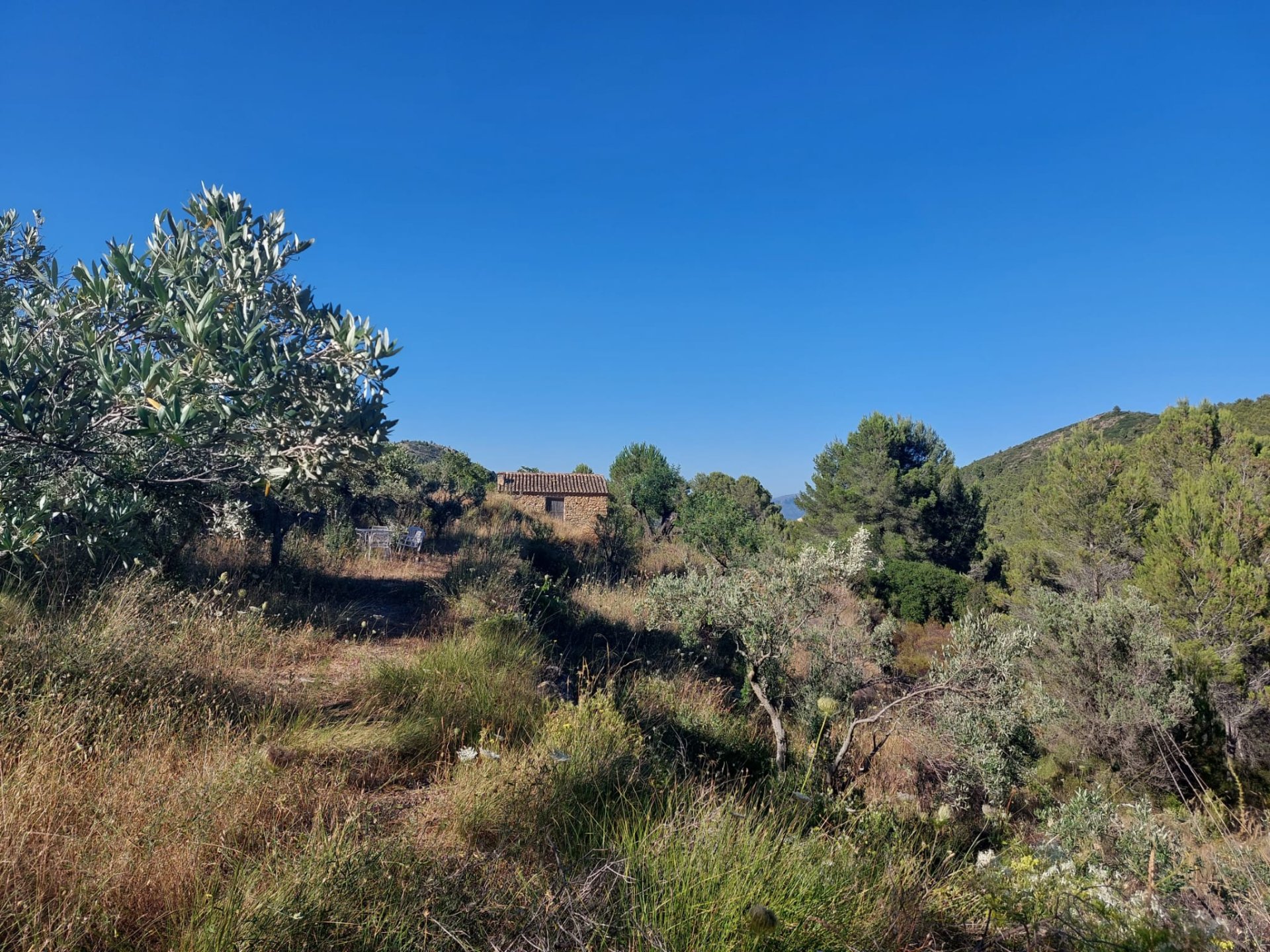 Land plot in Jalon, Alicante, Spain No. 183975