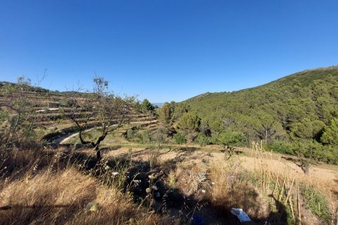 Terreno a Jalon, Alicante, Spagna N° 183975