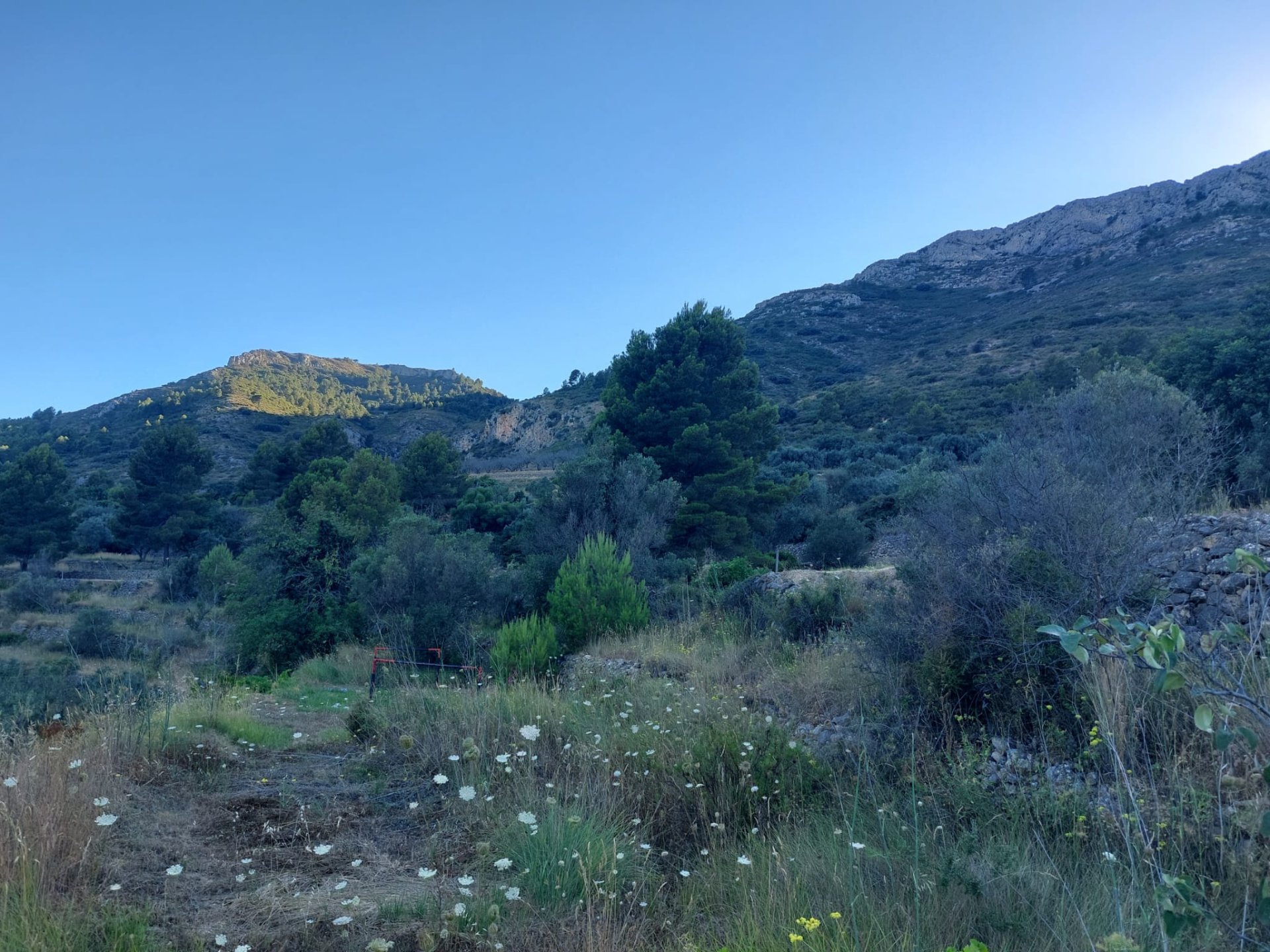 Land plot in Jalon, Alicante, Spain No. 183975