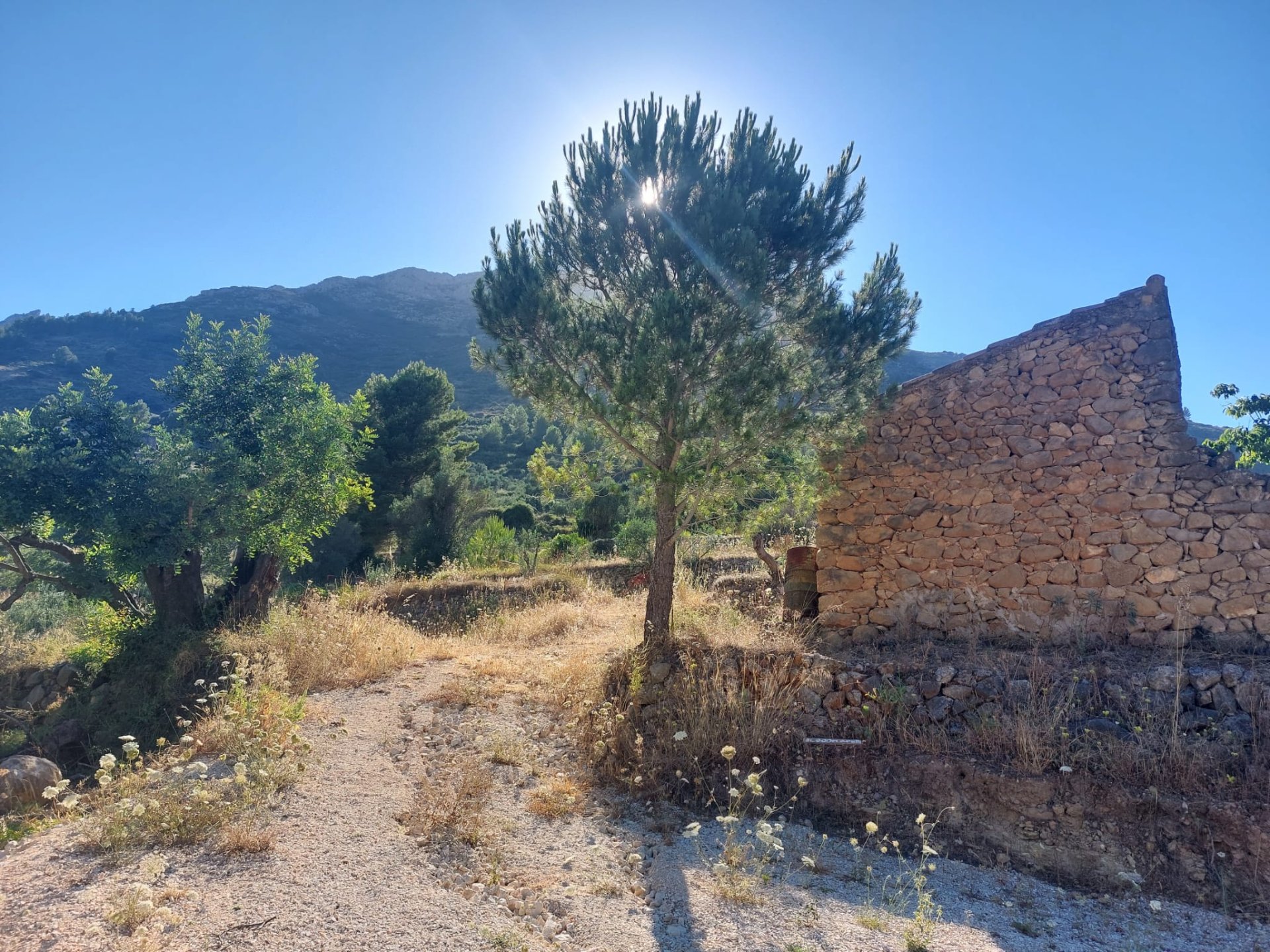 Land plot in Jalon, Alicante, Spain No. 183975