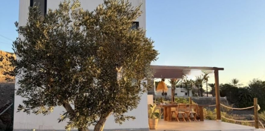 Huvila Tenerife, Espanja 2 makuuhuonetta, 130 m2 No. 195204